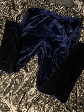 Blue Velvet Leggings 2X